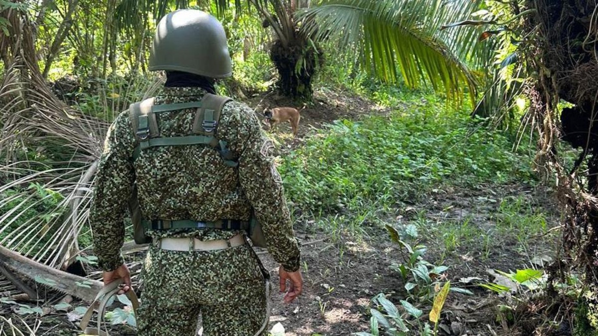 Ejército confirma que estableció comunicación con los dos pelotones desaparecidos desde hace tres días en selvas del Guaviare