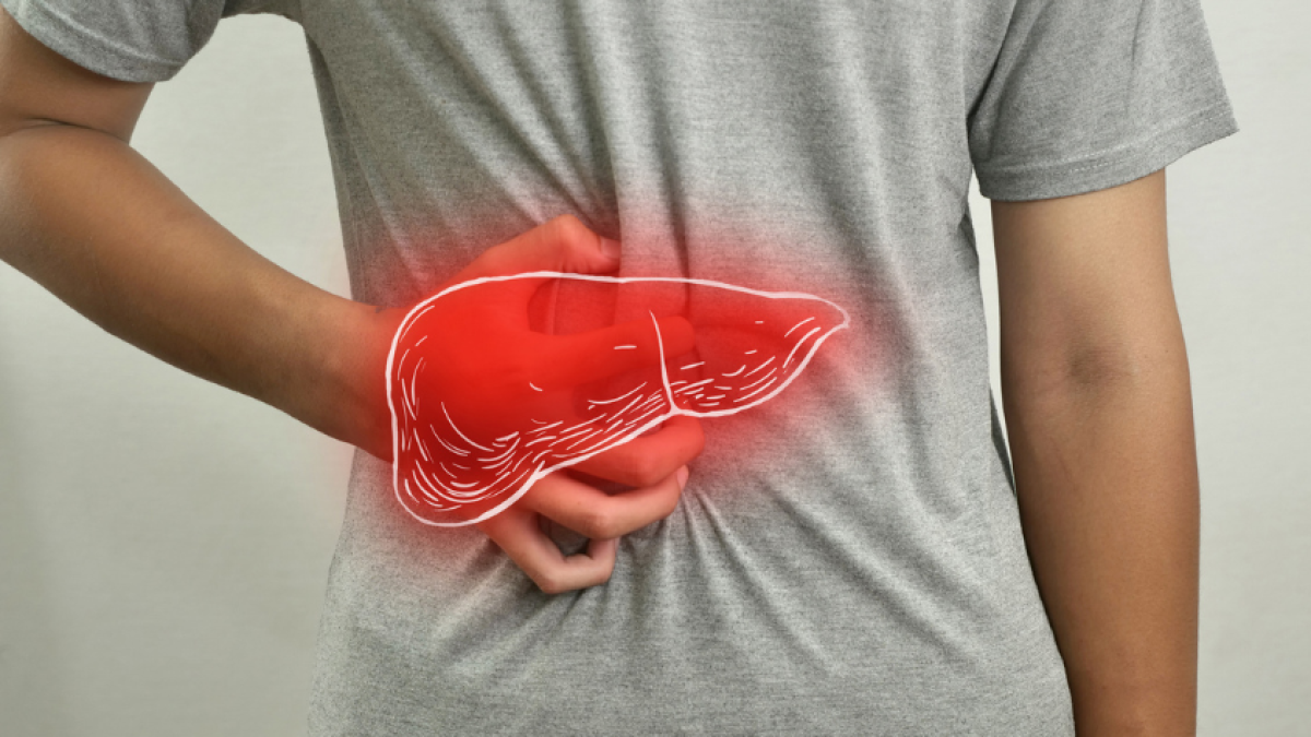 ¿Por qué el hígado no se regenera? Estos son los cuatro factores que dañan este órgano