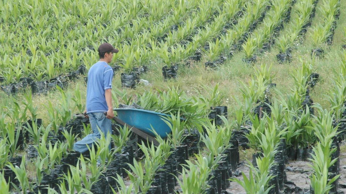 Impacto del ‘salario mínimo vital’ genera incertidumbre en sector productivo de Colombia