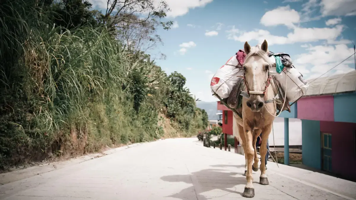 'Caminos Comunitarios para la Paz', la mayor apuesta en infraestructura del gobierno Petro, tiene una ejecución total que no llega al 10 %