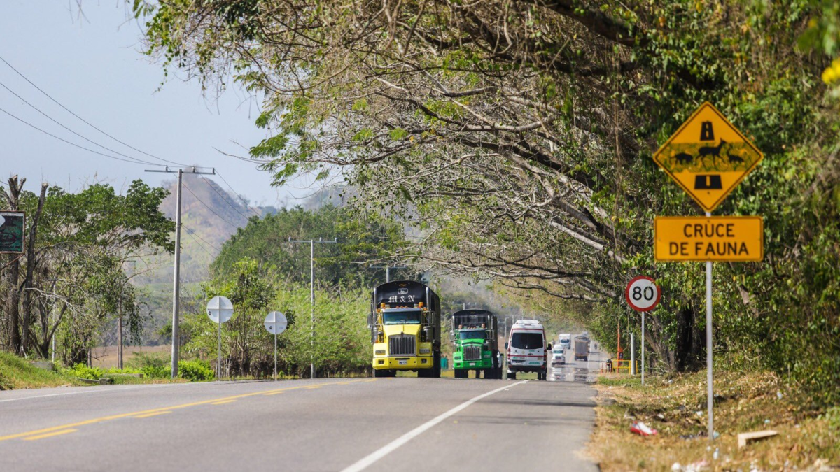 Eliminar cinco festivos a cambio de más vacaciones: La propuesta de Colfecar para mejorar la productividad de Colombia