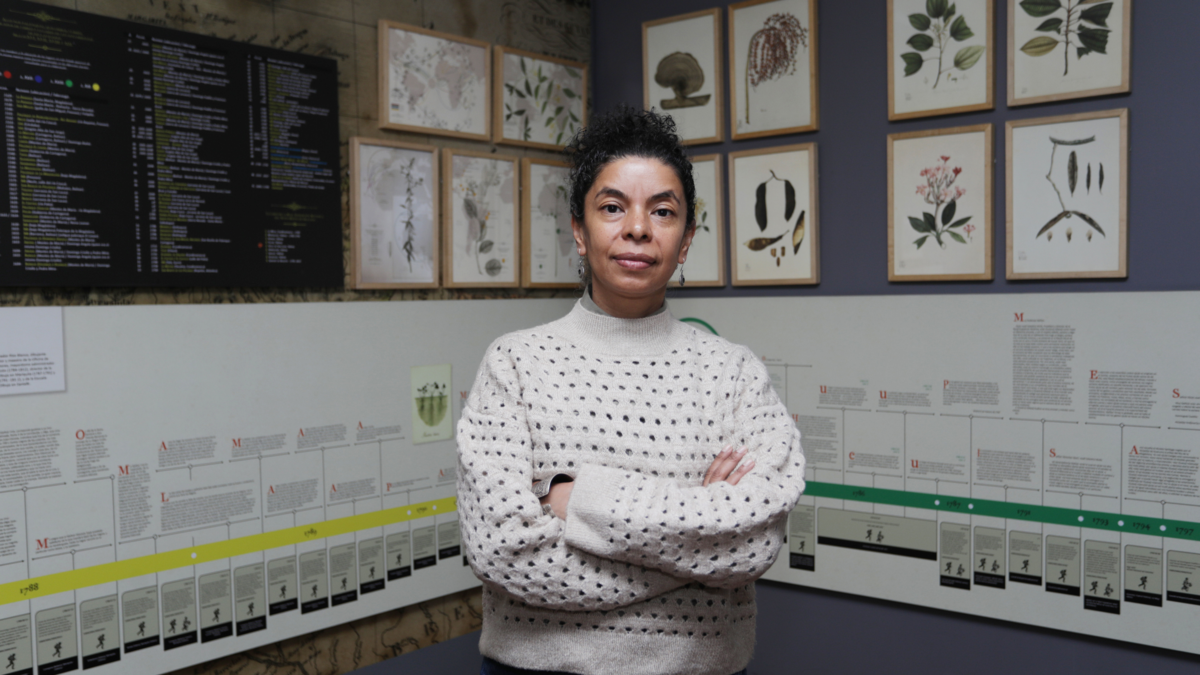 Murió Astrid Liliana Angulo, directora del Museo Nacional de Colombia