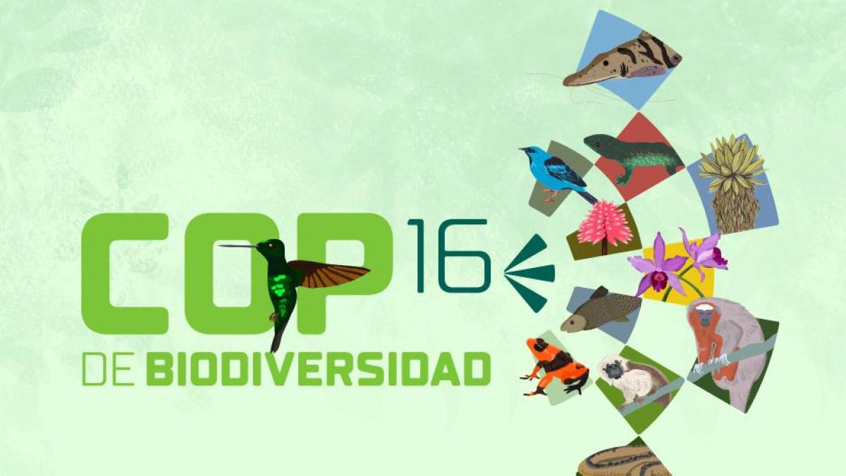 COP16: ¿Qué es, por qué es importante y qué le deja a Colombia la ...