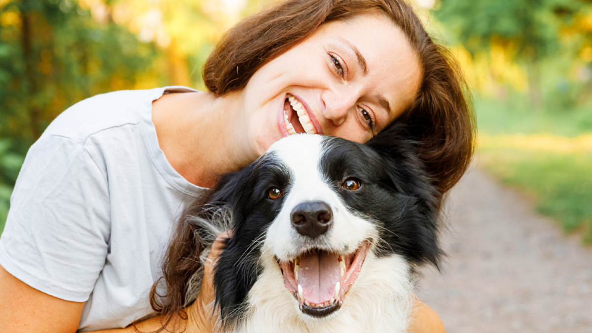 los perros recuerdan las voces