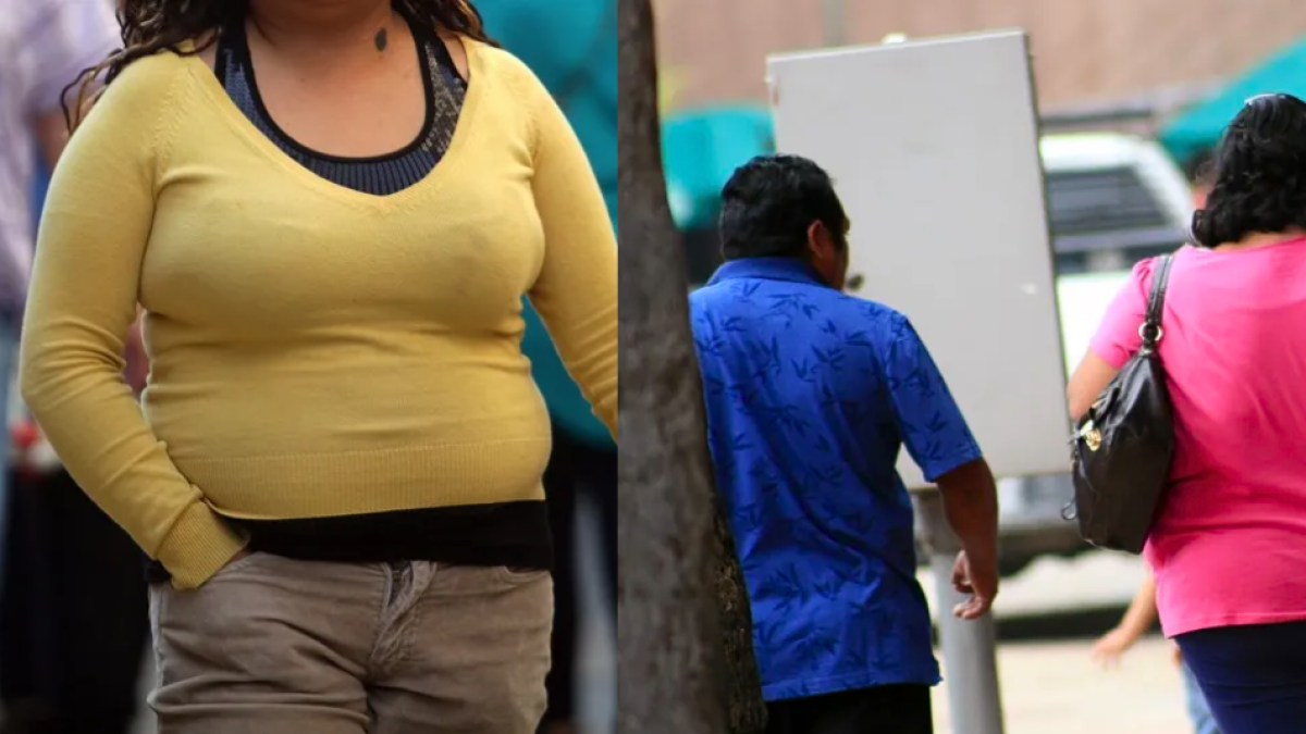 Santander enfrenta una ‘epidemia metabólica’ de obesidad impulsada por ultraprocesados y sedentarismo, advierten investigadores de la Udes
