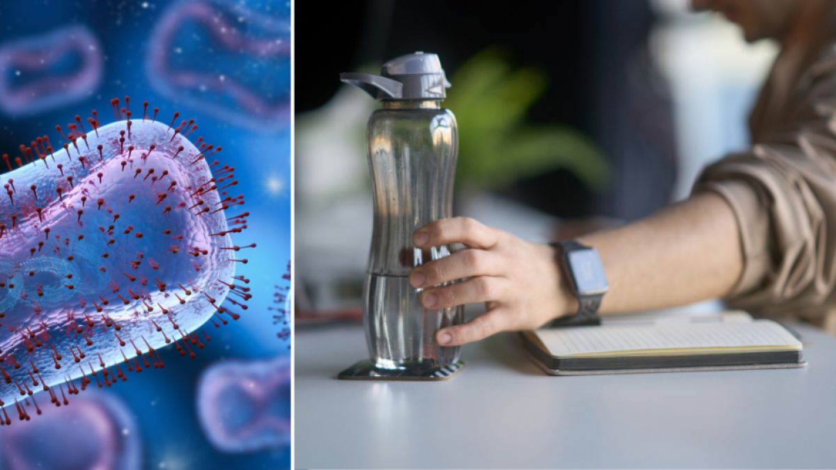 ¿Qué pasa si bebe de un termo con moho? Lo que dicen los especialistas sobre el riesgo de bacterias y hongos