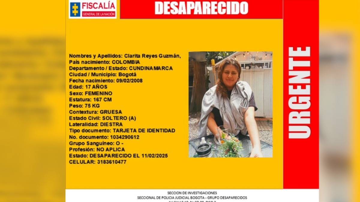Apareció Clarita Reyes, joven desaparecida en Bogotá: ¿qué se sabe?