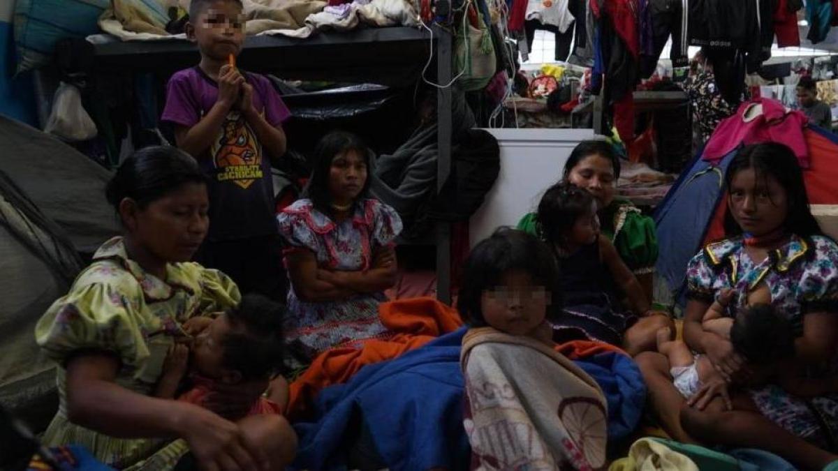 ¿Cuáles son las reiteradas exigencias de los líderes emberás que viven ...
