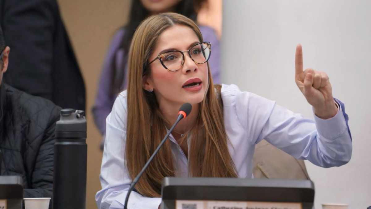 'El Congreso tiene que dejar de ser un órgano extorsivo': Catherine Juvinao, cabeza de lista de la Alianza Verde a Cámara por Bogotá