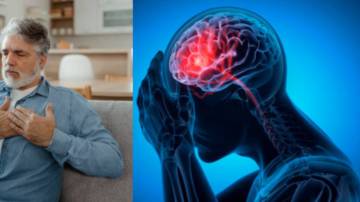 Un daño común en el corazón podría encoger el cerebro y afectar la ...