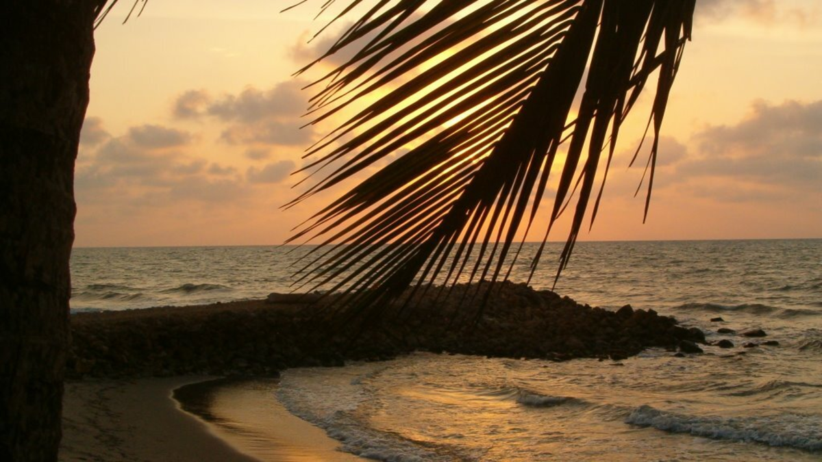 Viajar podría ser más barato en 2026: caen los precios de los vuelos y crece el interés de los colombianos por destinos nacionales