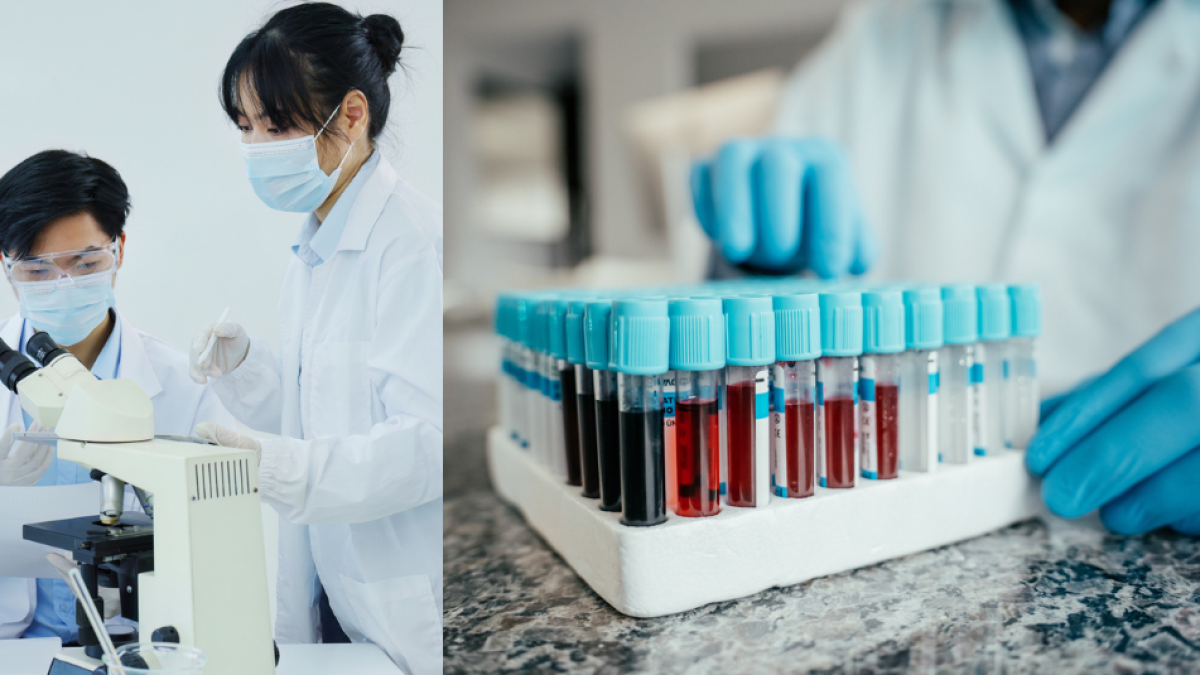 Argentina detecta seis casos de Gerbich negativo, uno de los grupos sanguíneos más raros del mundo, clave para transfusiones seguras