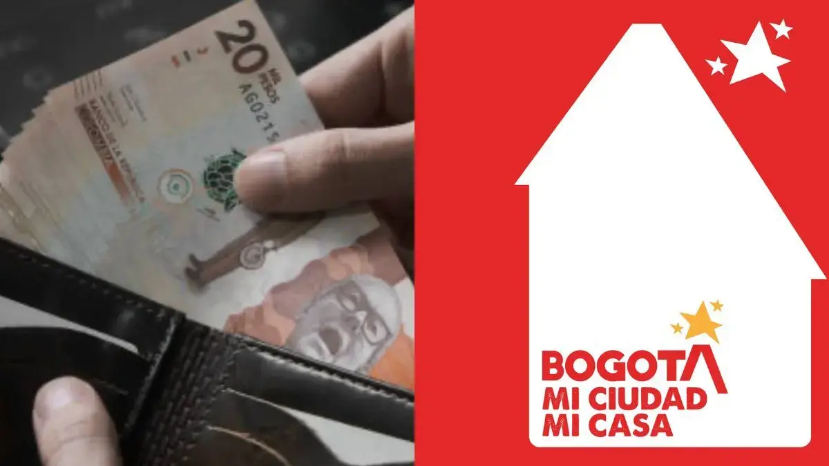 ¿Hizo aporte voluntario en impuestos? Estos son los pasos para obtener el certificado para deducciones tributarias