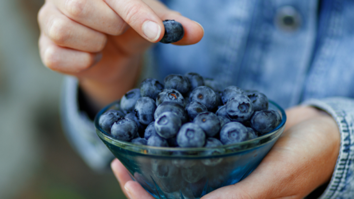 Alerta sanitaria en Estados Unidos: FDA retira lote de arándanos congelados por riesgo grave para la salud, que incluso podría causar la muerte
