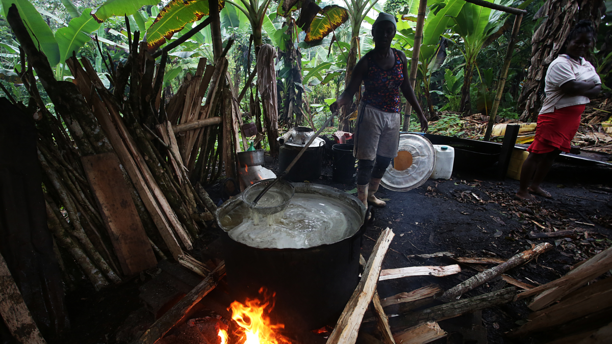 El viche ya es Bien de Interés Cultural: Gobierno adopta Plan de Salvaguardia y respalda a 1.000 familias del Pacífico
