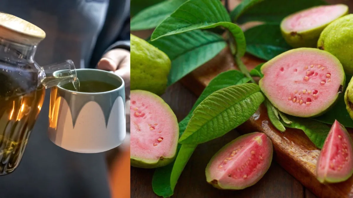 Hoja de guayaba: Para qué sirve, beneficios y cómo prepararla