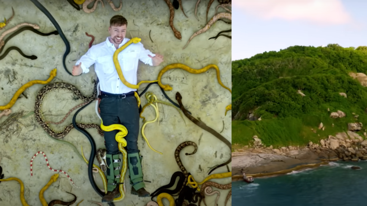 MrBeast pasó una noche en la isla más peligrosa del mundo, en Brasil, y ...