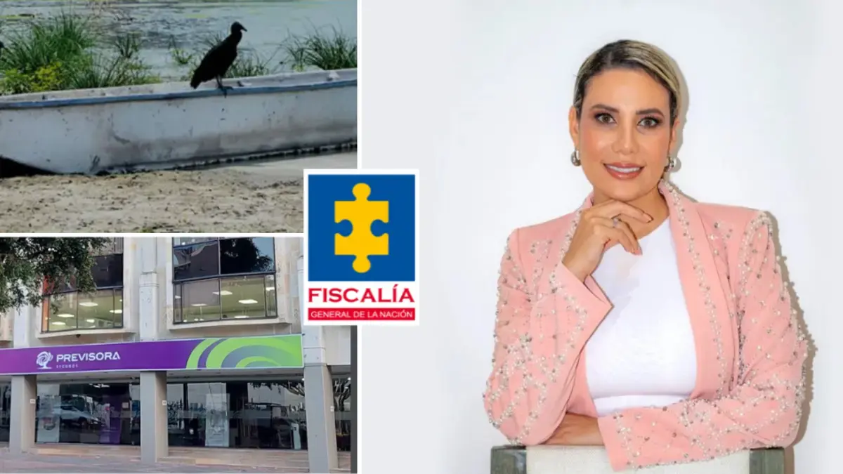 Alistan imputación por 3 cargos contra la influyente gerente jurídica de La Previsora; la ejecutiva se defiende