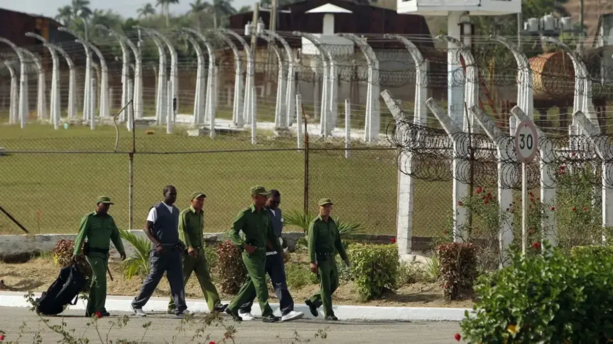 De cárceles de Cuba a Europa: ONG denuncia que carbón y puros exportados son elaborados por presos en condiciones de 'esclavitud'