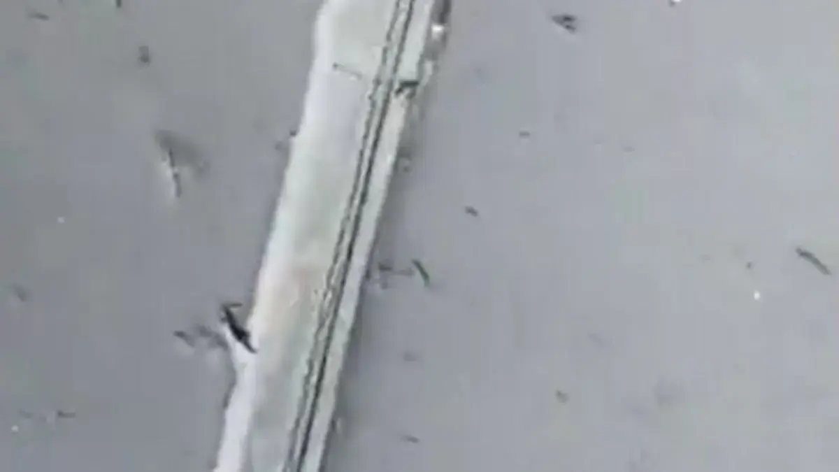 Video | Hombre se negó a que una grúa con las llantas regrabadas se llevara su bus en Terminal de Transporte en Bogotá: 'La ley aplica para todos'