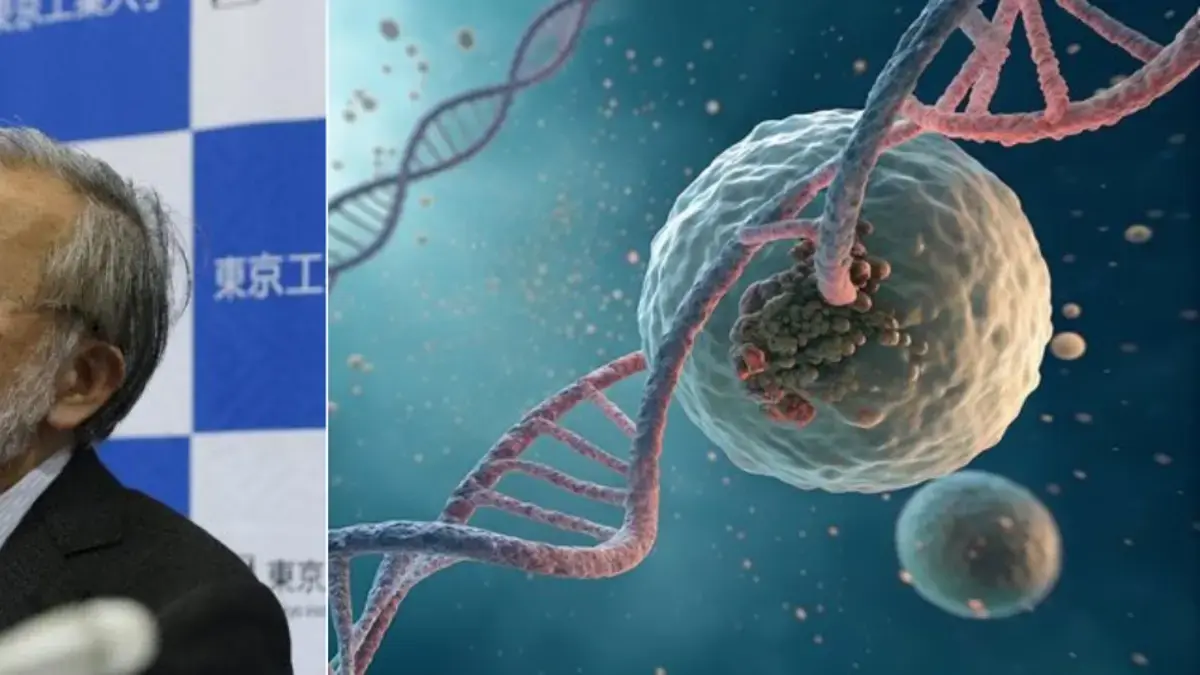 El proceso de 'reciclaje celular' que descubrió Yoshinori Ohsumi y le dio el Nobel de Medicina: 'Empieza a alimentarse de las células muertas'