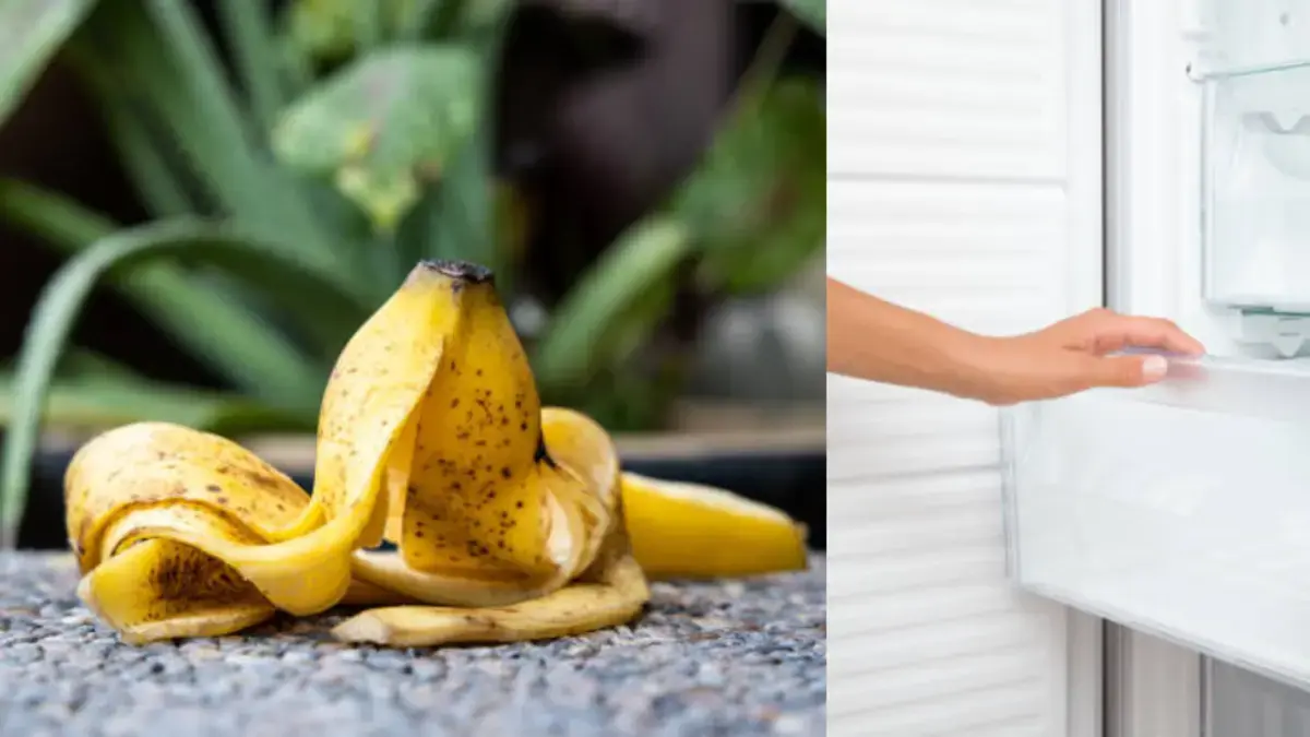 El truco de congelar la cáscara del banano: para qué sirve y cómo aprovecharla