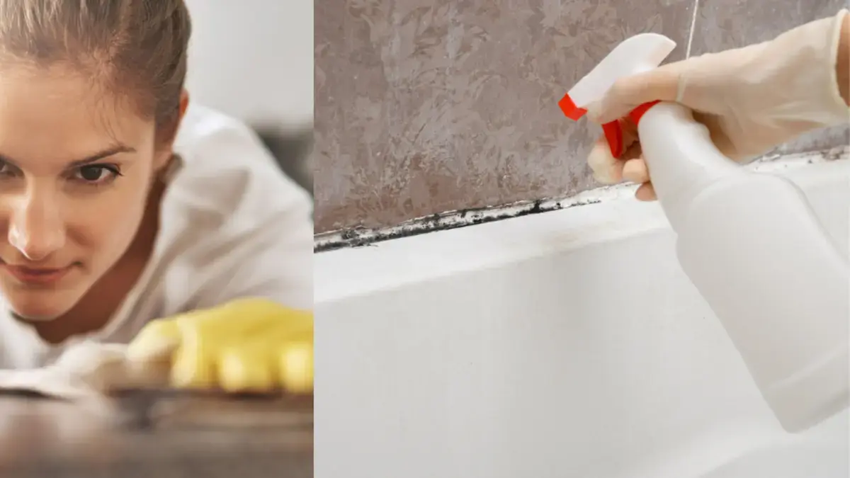 Dos trucos rápidos y sencillos para eliminar el moho del baño y la cocina