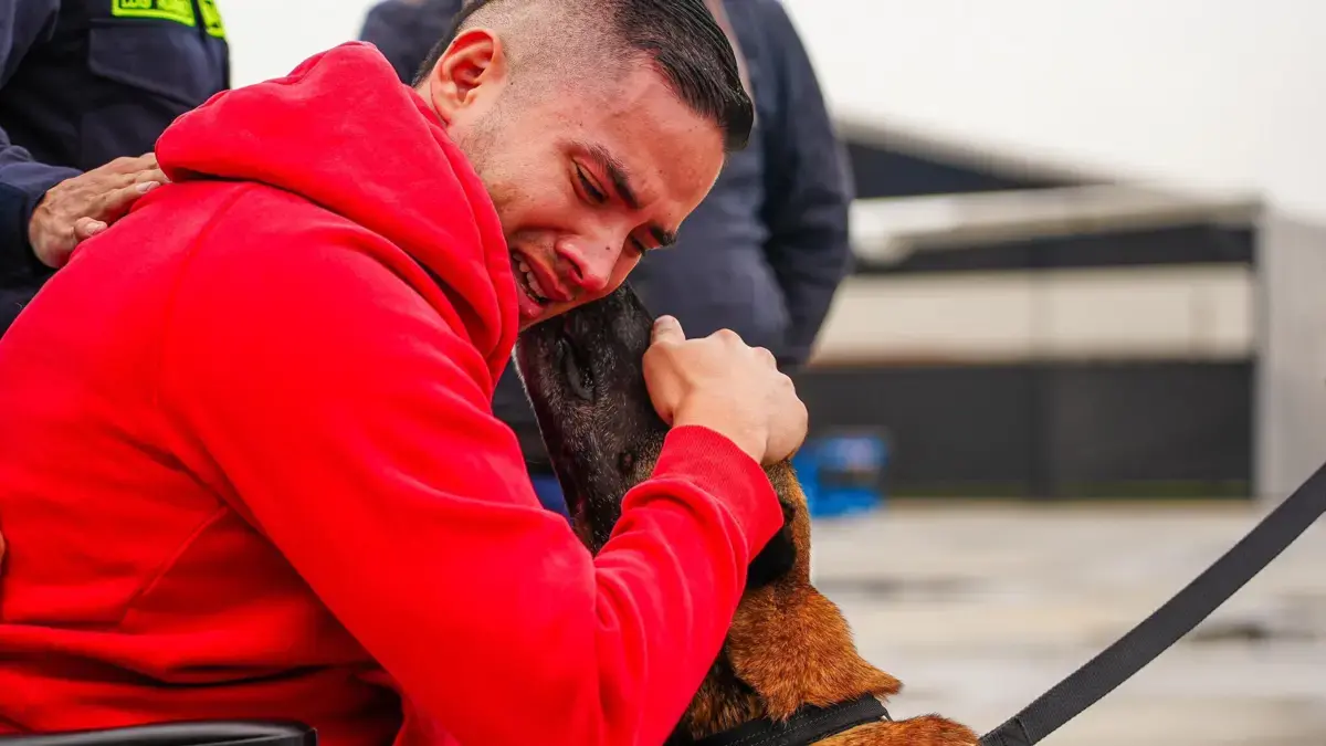 Video | Así fue el emotivo reencuentro entre patrullero y su perro antinarcóticos: ambos sobrevivientes del atentado en Amalfi, Antioquia