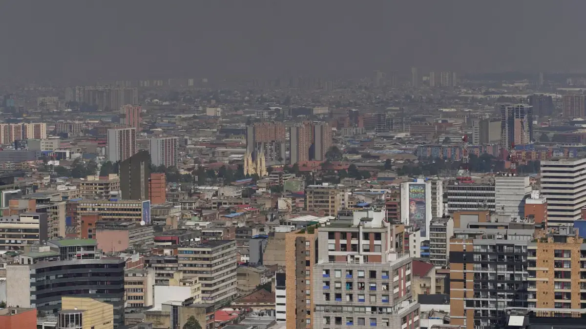 En Bogotá hacen falta 1,2 millones de árboles para cumplir con las normas ambientales, señala investigación