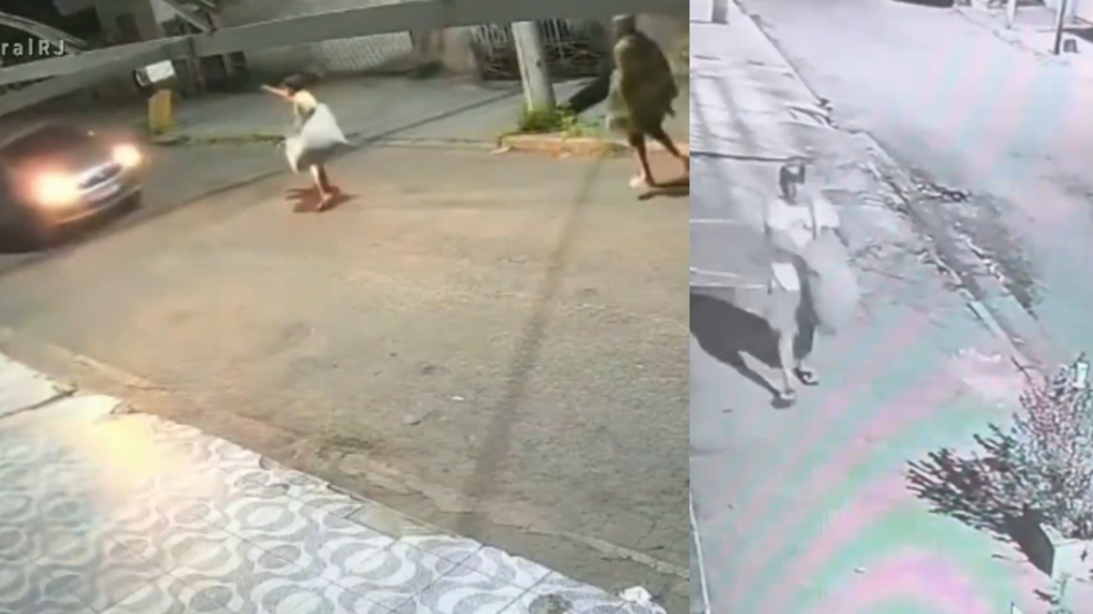 Video | Conductor atropelló a ladrones que intentaron robarle haciéndose pasar por habitantes de calle: uno falleció en el lugar