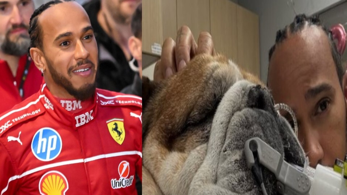 Lewis Hamilton, sumido en una inmensa tristeza: no estará en las pruebas con Ferrari en Mugello, su perro está en coma