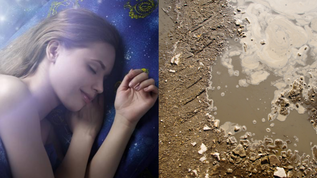 ¿Qué significa soñar con agua sucia o estancada? Podría decir más sobre su vida emocional de lo que imagina