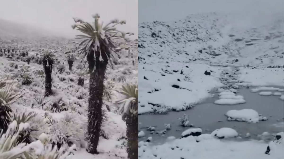 El Nevado del Cocuy volvió a cubrirse de blanco: video viral reaviva debate sobre la protección de estos complejos ecosistemas en Colombia