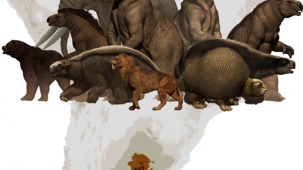 Los primeros humanos en Sudamérica cazaban megafauna como presa principal y podrían haber contribuido a su extinción, revela nuevo estudio