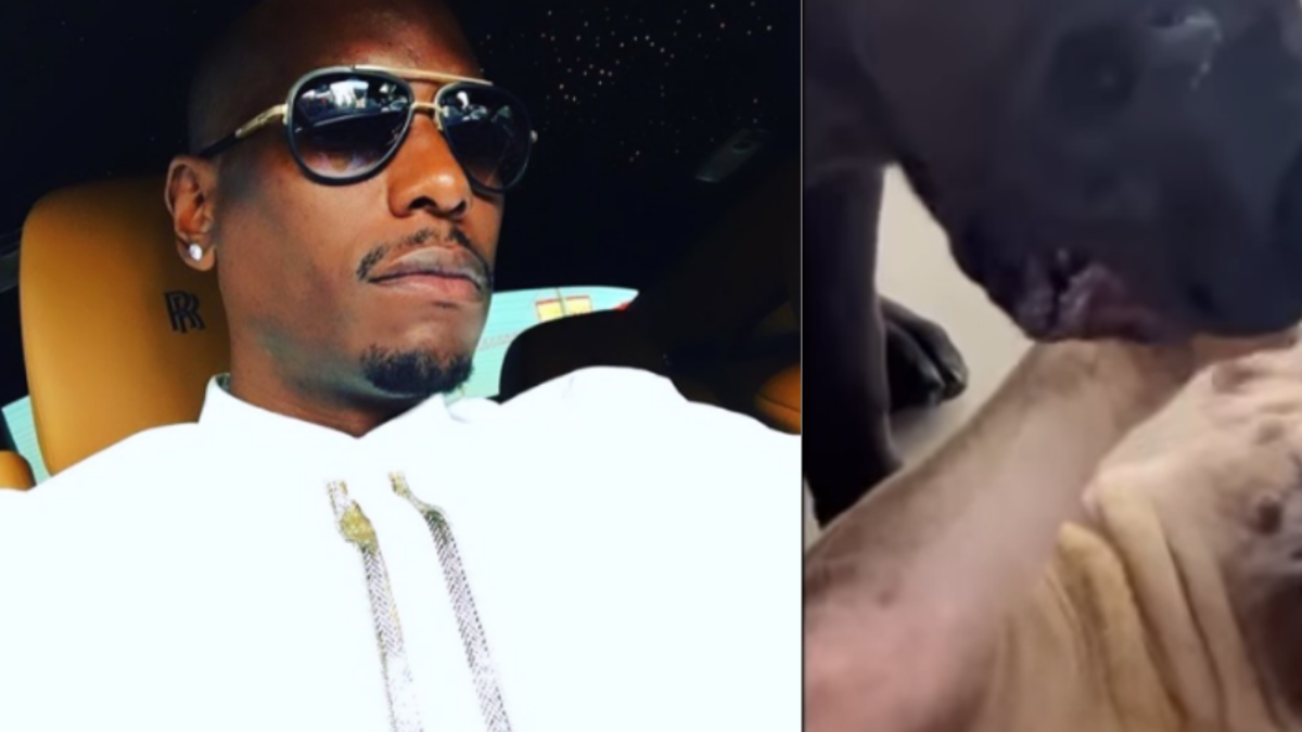 Tyrese Gibson, reconocido actor de la franquicia de 'Rápidos y furiosos', enfrenta orden de arresto por negligencia tras ataque mortal de sus perros