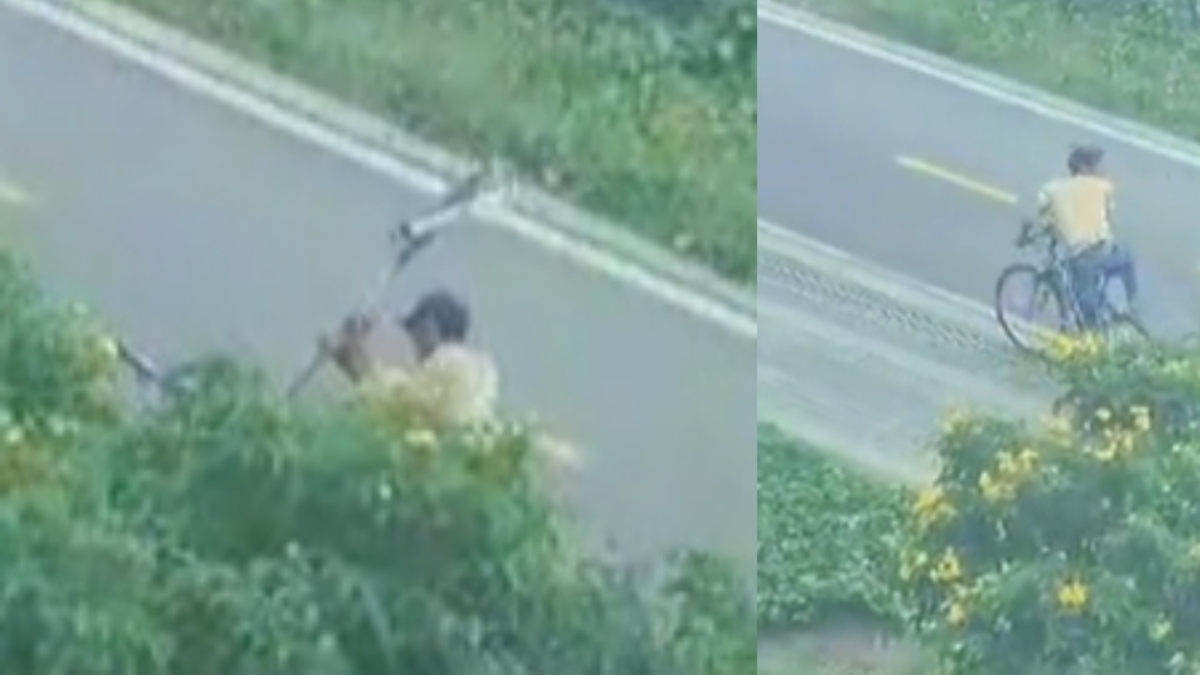 Insólito hurto en Bogotá, video muestra cómo un delincuente partió y quitó una señal de tránsito para robarse una bicicleta