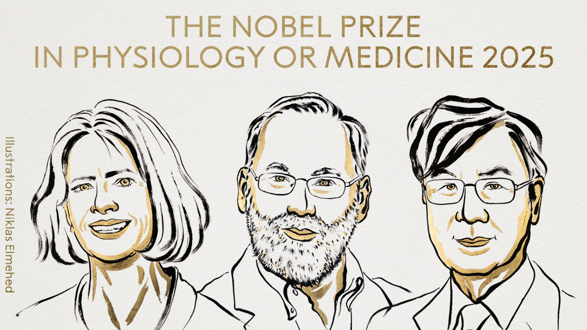 Nobel de Medicina 2025 premia a Mary Brunkow, Fred Ramsdell y Shimon Sakaguchi, tres investigadores del sistema inmunitario