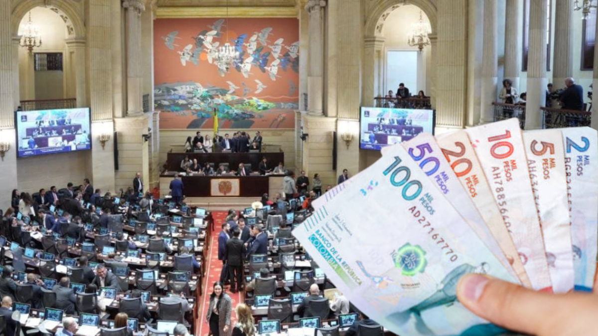 El recorte que trae el Presupuesto General de 2026 para la Rama Judicial: así se verán afectadas las entidades