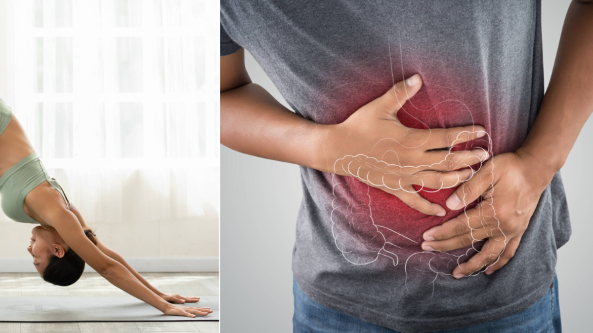 Seis posturas de yoga que ayudan a liberar gases, mejorar la digestión y aumentar el apetito: la del 'gato y la vaca' son unas de las más recomendadas