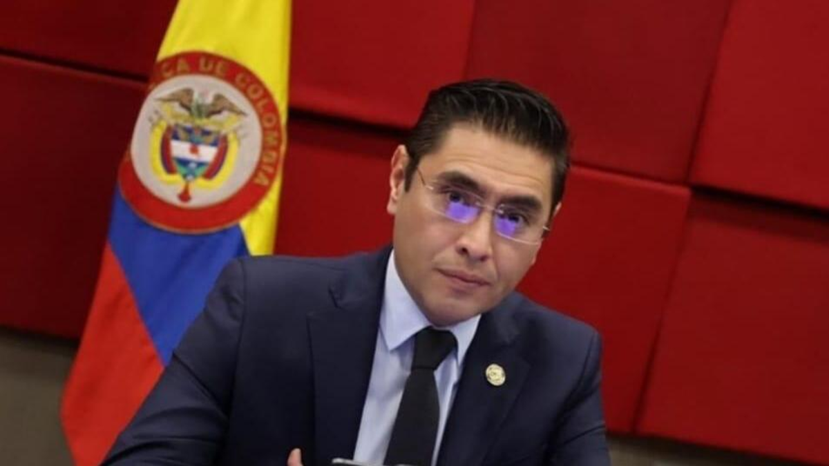 Presidente del CNE confirma que se han declarado las elecciones de Cámara en 19 departamentos y 8 curules Citrep