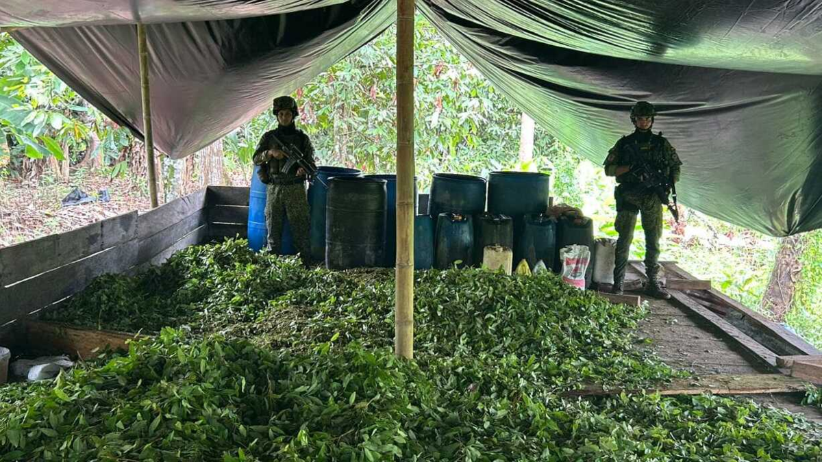 Armada reporta la destrucción de más de 30 laboratorios para la producción ilegal de pasta base de coca en Nariño