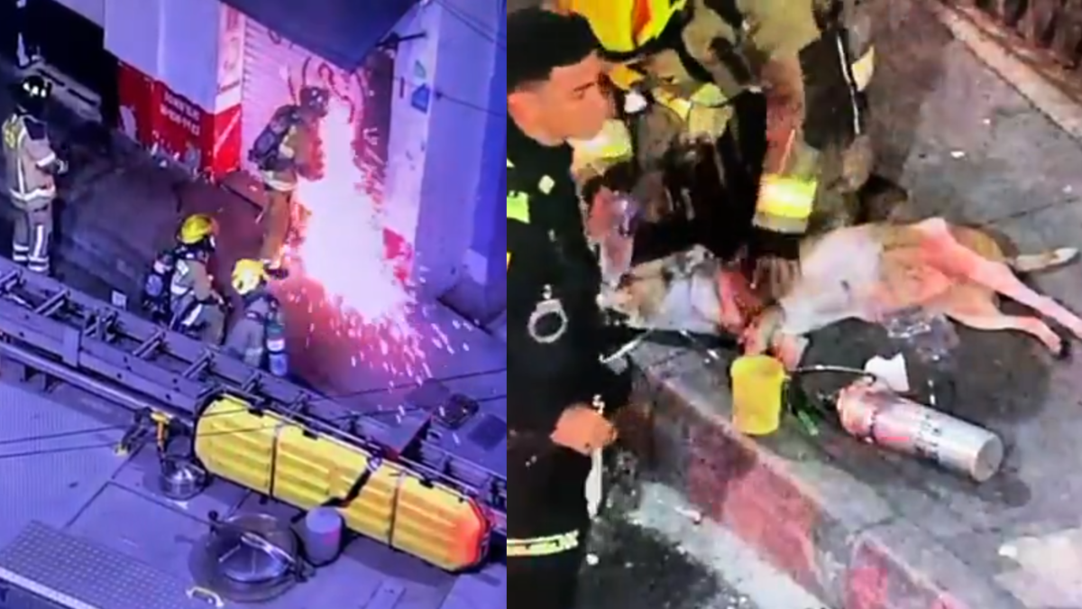 El conmovedor rescate de un perrito que quedó atrapado en un incendio en el centro de Medellín: en un acto heroico fue salvado por dos bomberos