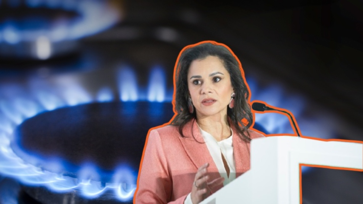 La alerta de la presidenta de Naturgas tras fuerte caída de las reservas de gas al cierre de 2025: ‘Debemos actuar con sentido de urgencia’