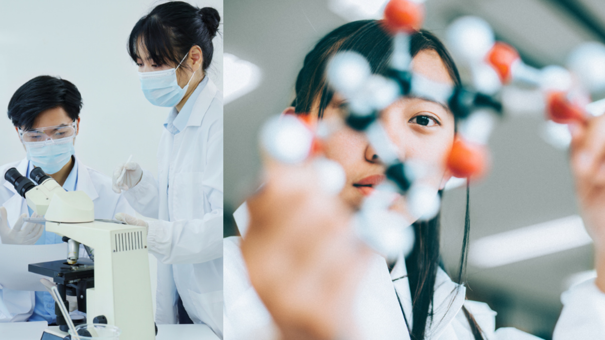 Un estudio identifica por qué actualmente las tasas de fertilidad masculina son más bajas que las femeninas