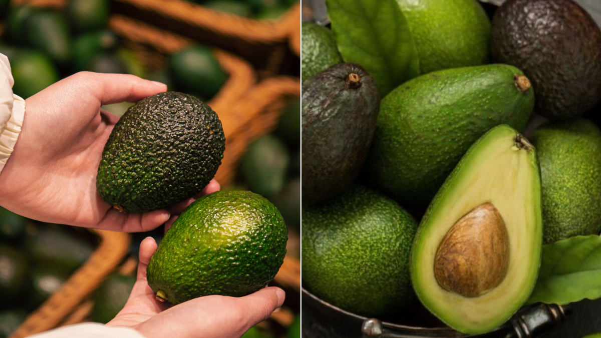 ¿Cómo elegir el mejor aguacate? Expertos explican si es mejor más verde o más amarillo
