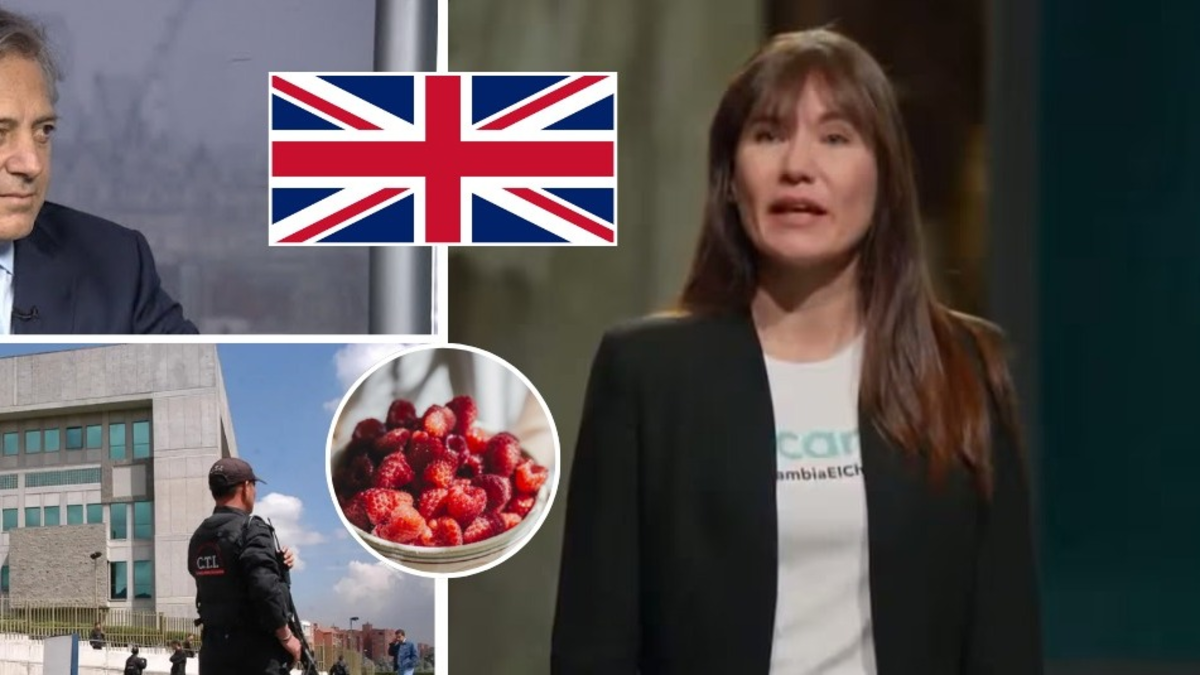 Los hilos que mueven para acelerar la extradición desde Londres de Zulma Guzmán por caso de niñas envenenadas con talio