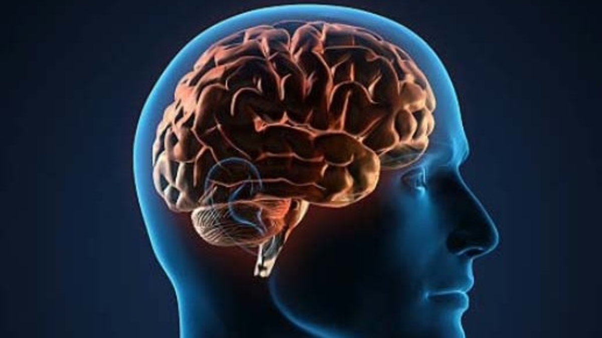 Experto recomienda dieta mediterránea para salud cerebral - salud news from El Tiempo