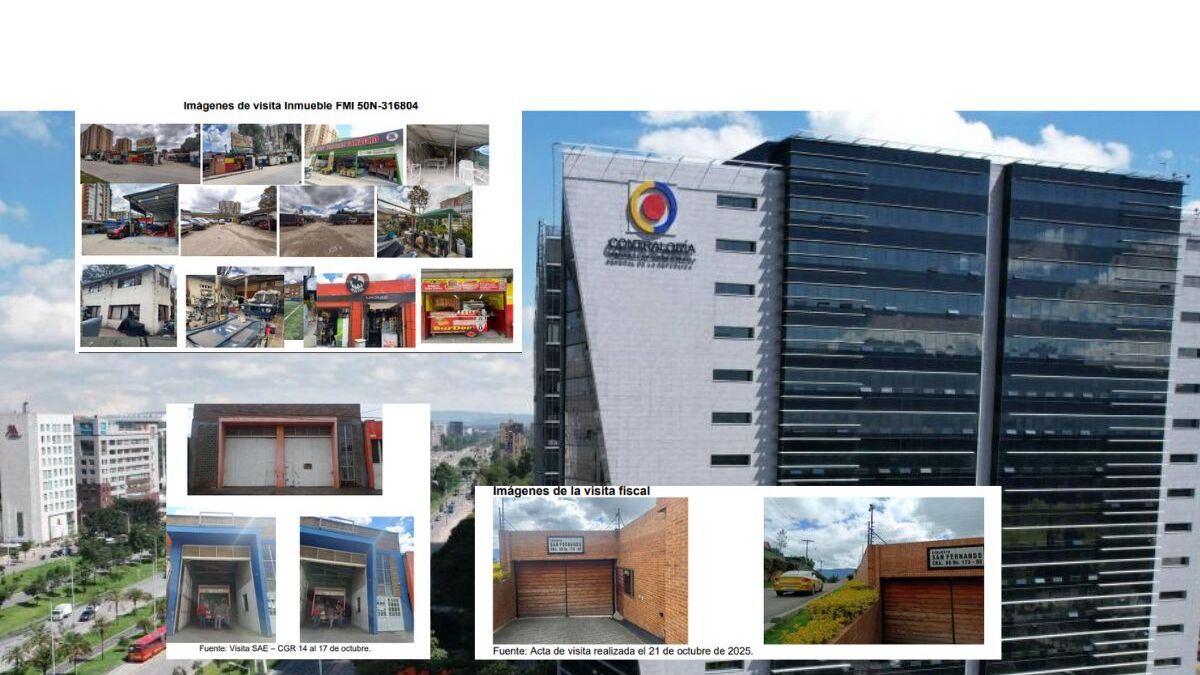 Las irregularidades por más de 8.000 millones que halló la Contraloría en la gestión de bienes de la mafia a cargo de la SAE