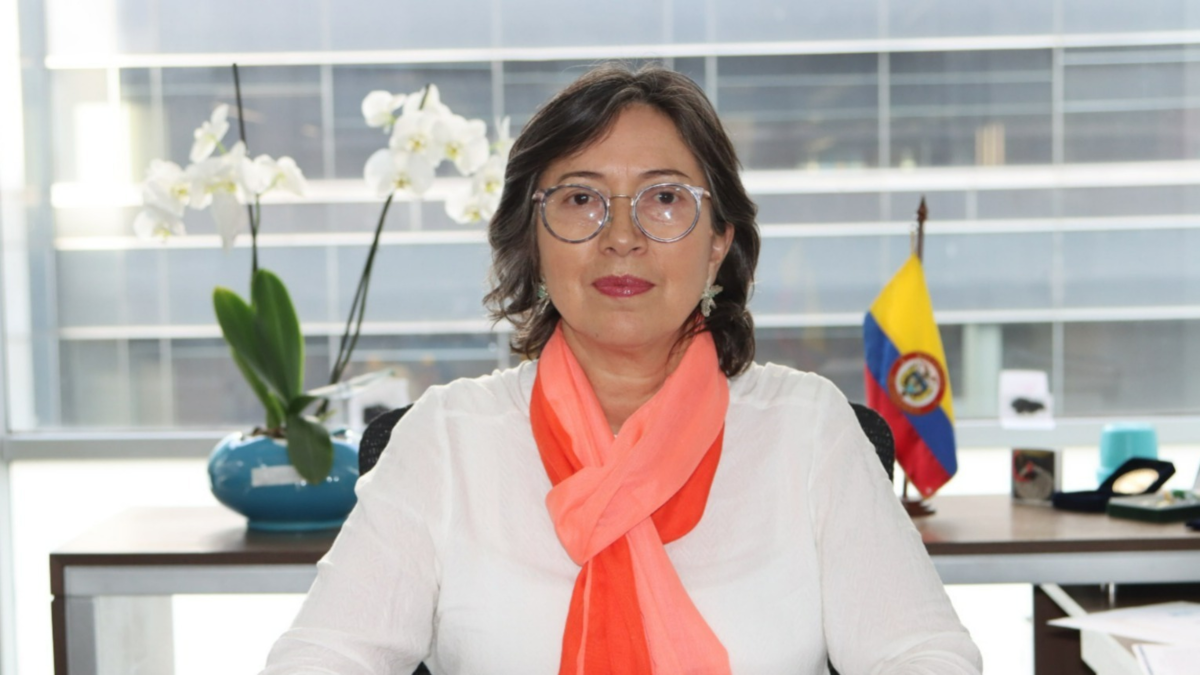'Estamos preparados para enfrentar un posible éxodo; tenemos experiencia': Gloria Arriero, directora de Migración Colombia