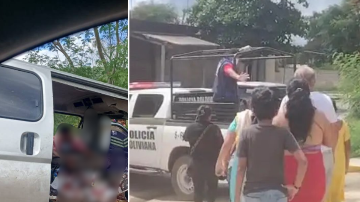 Tragedia en Bolivia: accidente de autobús dejó al menos 12 muertos de una misma familia; menor conducía el vehículo que quedó aplastado por un árbol